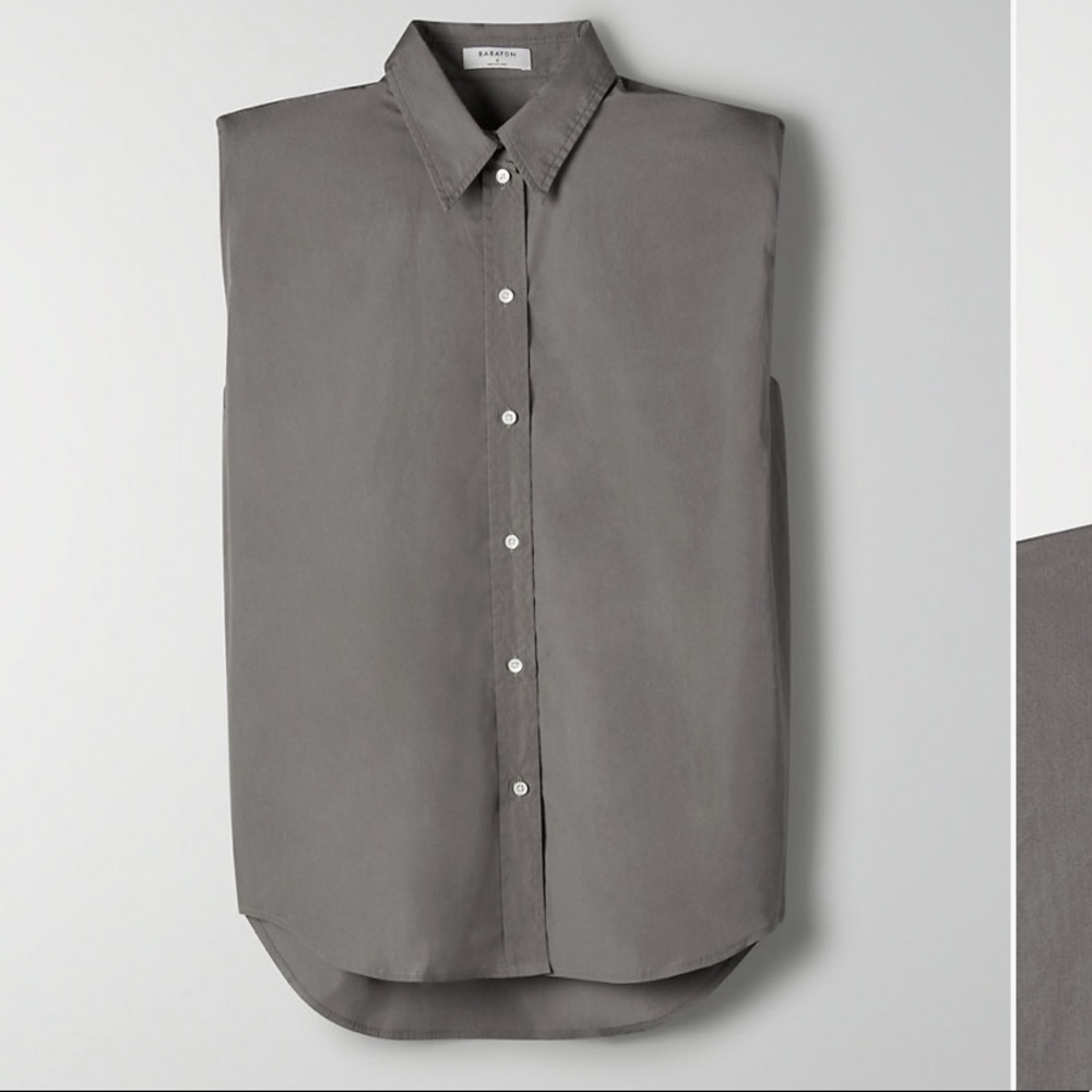 Aritzia Babaton Sleeveless button up